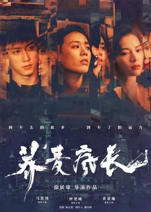 做假丹麦地址证明